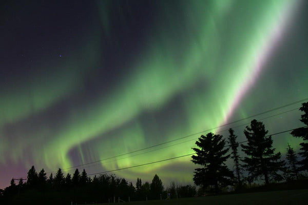 Aurora on the Wires - Sherwood Park