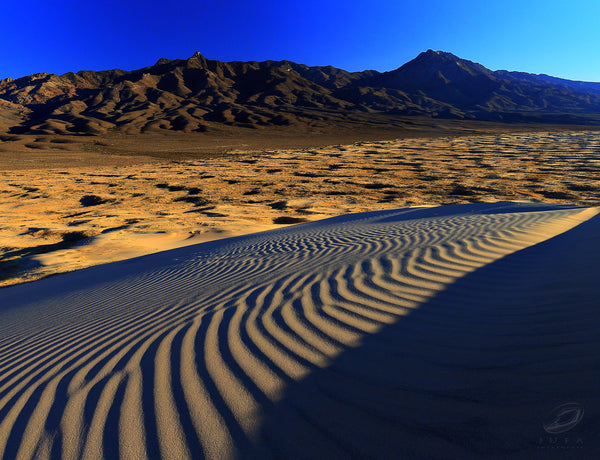 Mojave Monastics